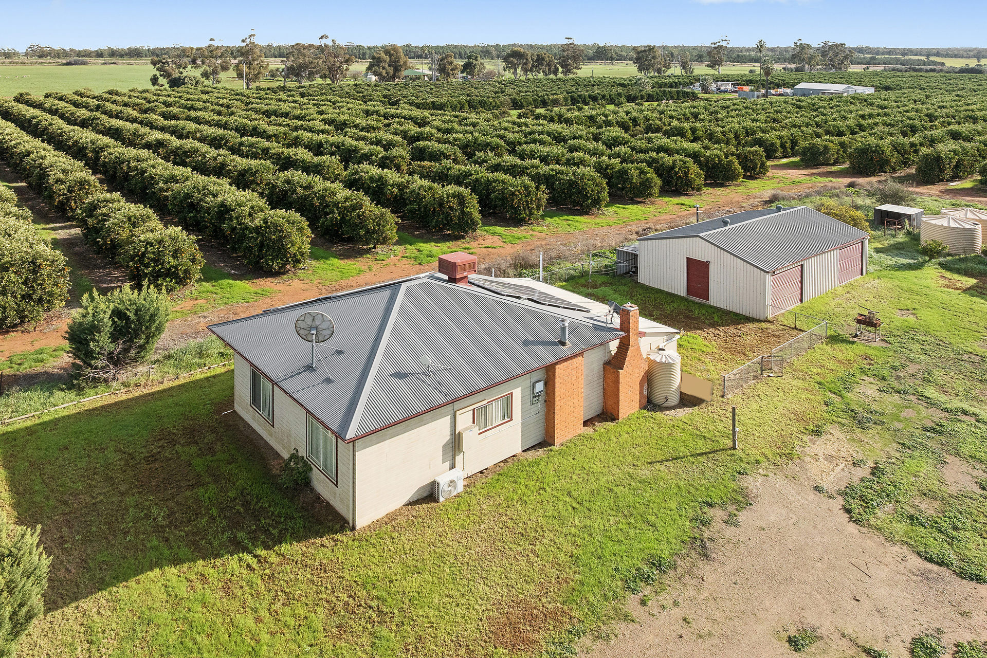 For Sale - 504 McNeil Road - New Property in Leeton - Real Estate by Julie Valenzisi