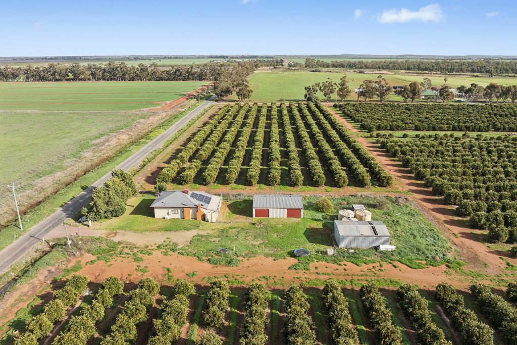 Sold - 504 McNeil Road - New Property in Leeton - Real Estate by Julie Valenzisi