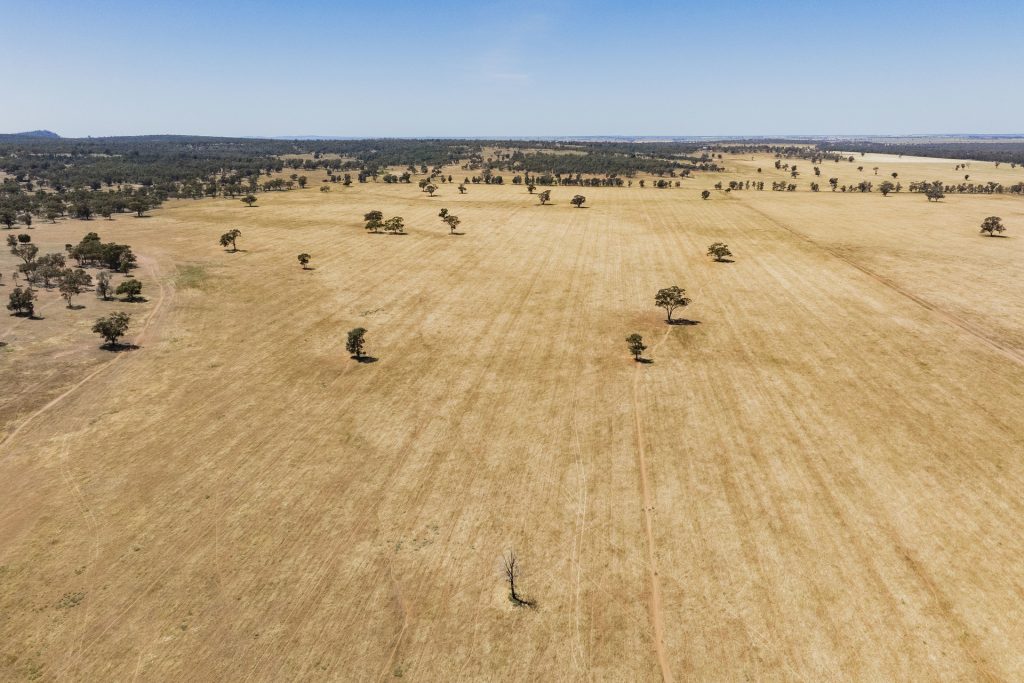 For Sale - 25 Kamarah Road - New Property in Narrandera - Real Estate by Craig Pellow