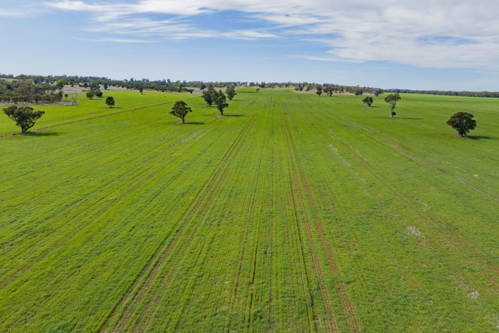 For Sale - 25 Kamarah Road - New Property in Narrandera - Real Estate by Craig Pellow