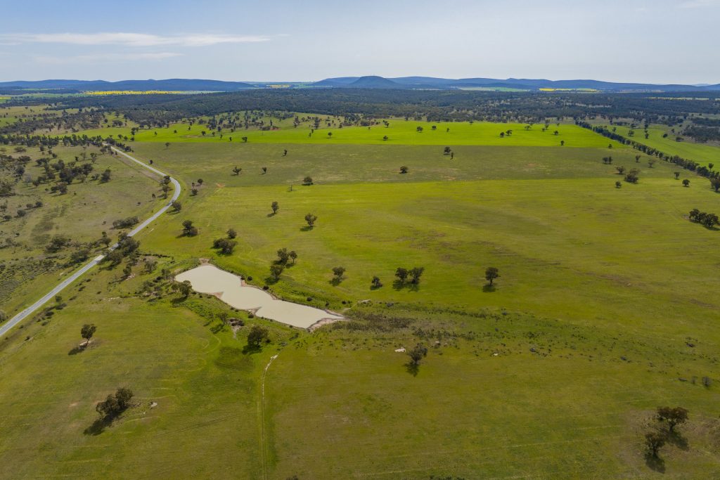 For Sale - 25 Kamarah Road - New Property in Narrandera - Real Estate by Craig Pellow