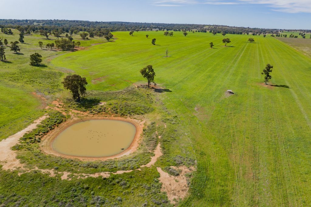 For Sale - 25 Kamarah Road - New Property in Narrandera - Real Estate by Craig Pellow