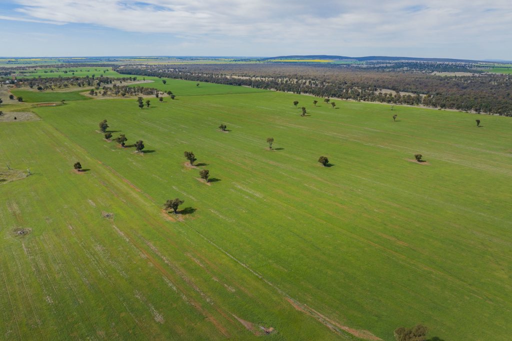 For Sale - 25 Kamarah Road - New Property in Narrandera - Real Estate by Craig Pellow