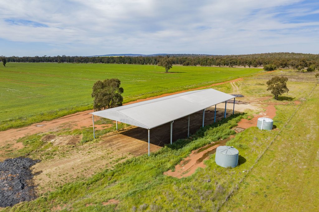 For Sale - 25 Kamarah Road - New Property in Narrandera - Real Estate by Craig Pellow