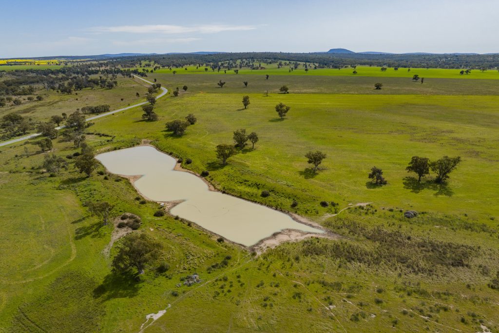 For Sale - 25 Kamarah Road - New Property in Narrandera - Real Estate by Craig Pellow