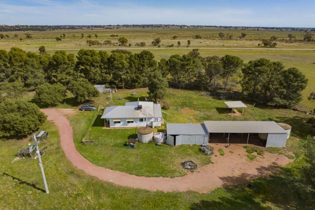 For Sale - 25 Kamarah Road - New Property in Narrandera - Real Estate by Craig Pellow