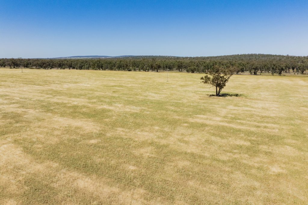 For Sale - 25 Kamarah Road - New Property in Narrandera - Real Estate by Craig Pellow