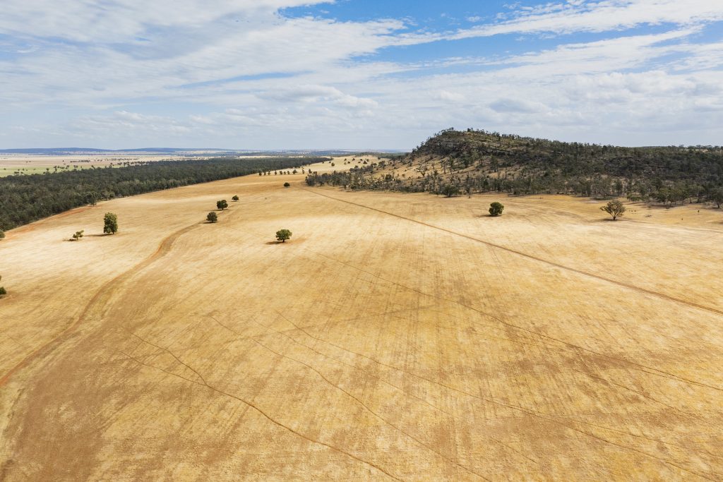 For Sale - 1147 Kamarah Road - New Property in Narrandera - Real Estate by Craig Pellow