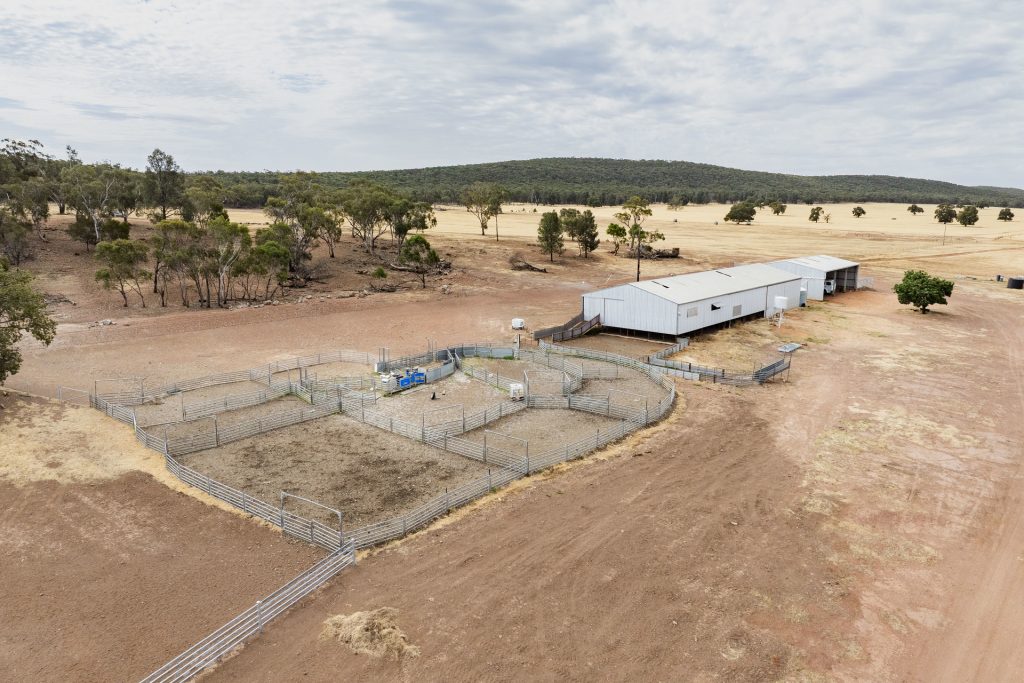 For Sale - 1147 Kamarah Road - New Property in Narrandera - Real Estate by Craig Pellow