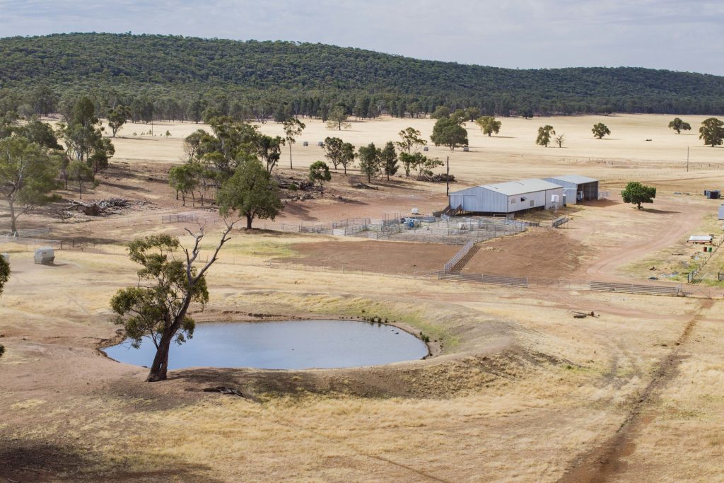 For Sale - 1147 Kamarah Road - New Property in Narrandera - Real Estate by Craig Pellow