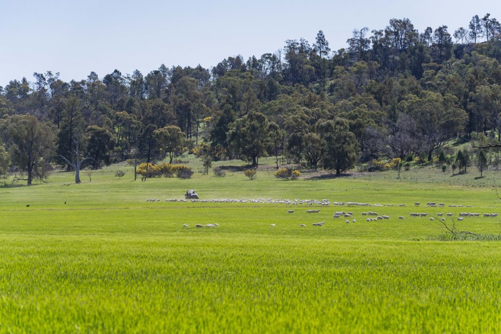 For Sale - 1147 Kamarah Road - New Property in Narrandera - Real Estate by Craig Pellow