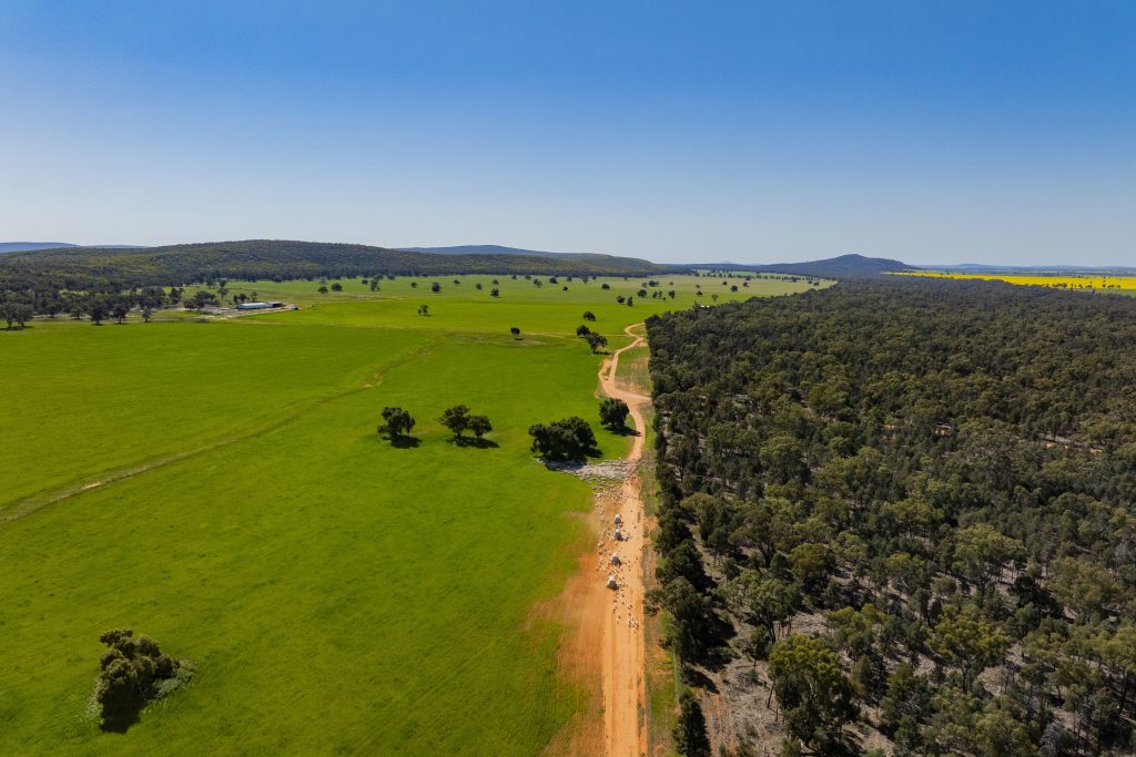 For Sale - 1147 Kamarah Road - New Property in Narrandera - Real Estate by Craig Pellow
