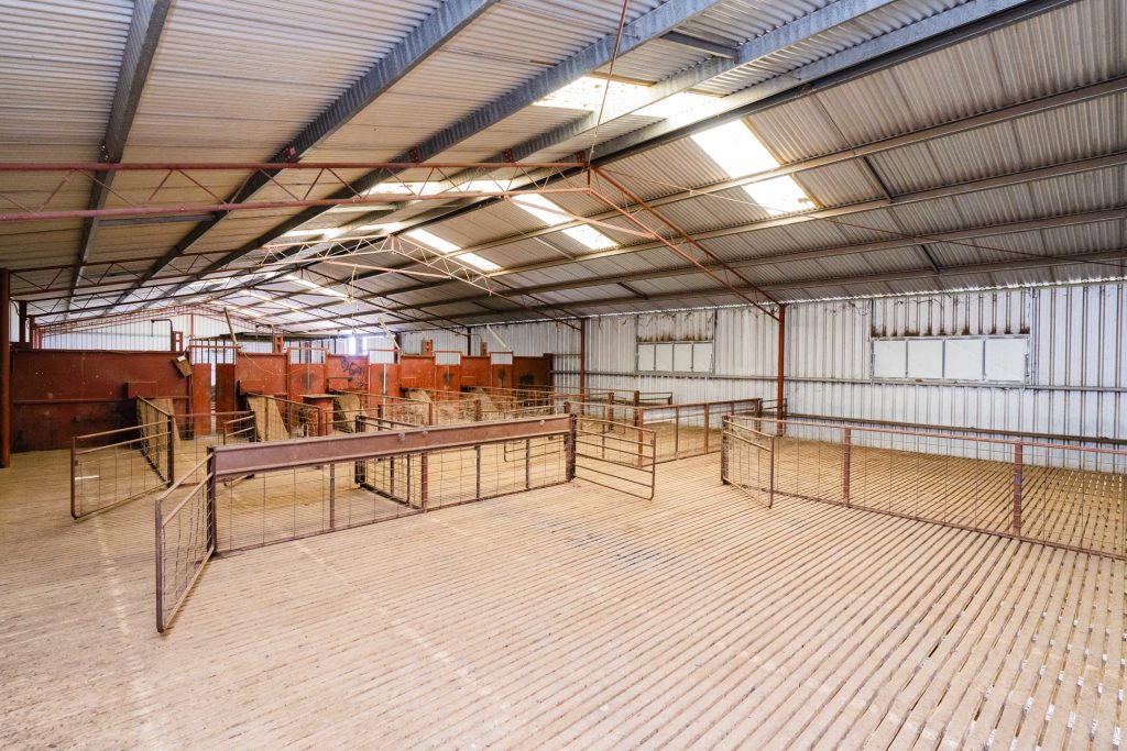 For Sale - 1147 Kamarah Road - New Property in Narrandera - Real Estate by Craig Pellow