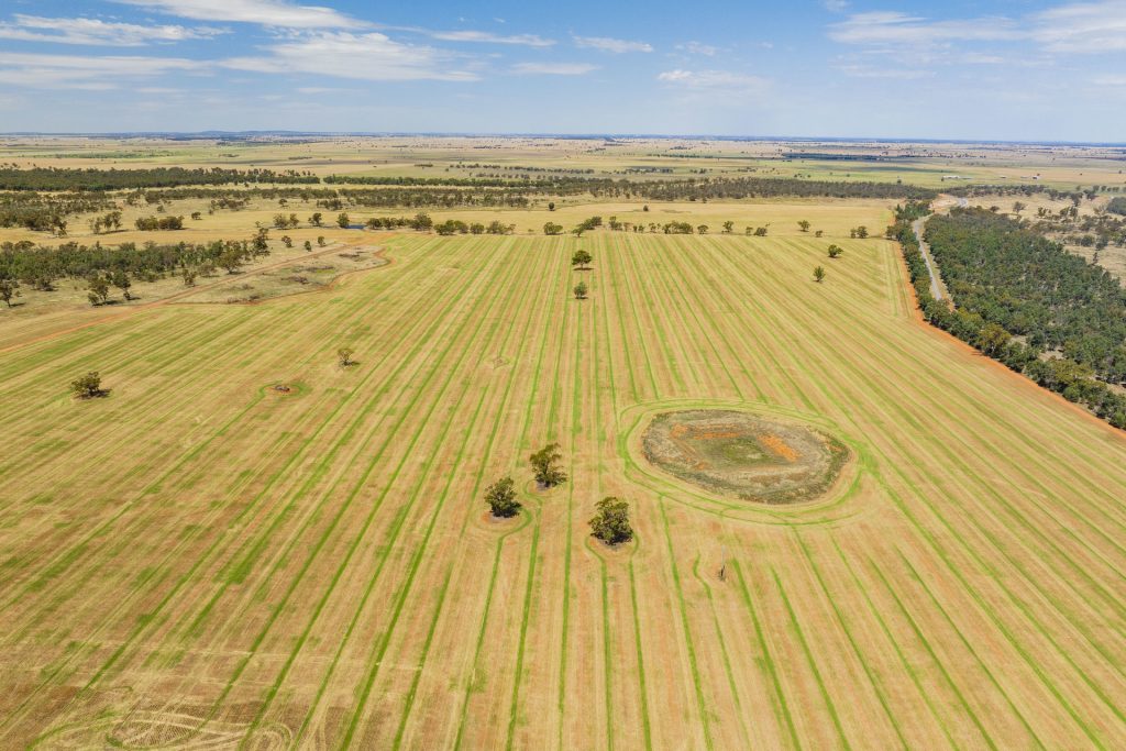 For Sale - 289 Kamarah Road - New Property in Narrandera - Real Estate by Craig Pellow