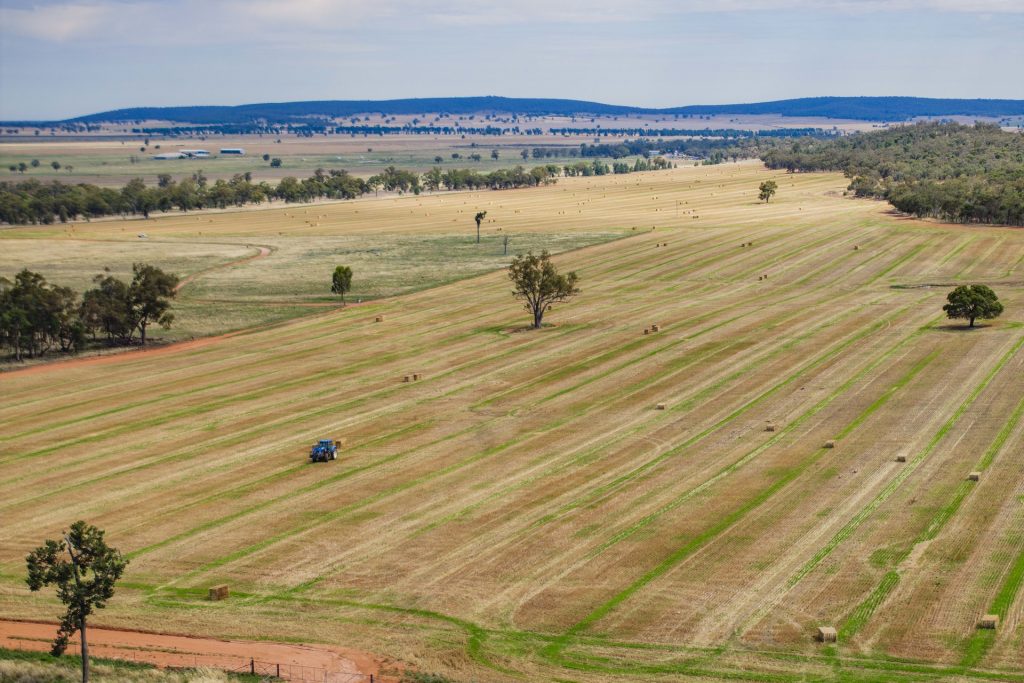 For Sale - 289 Kamarah Road - New Property in Narrandera - Real Estate by Craig Pellow