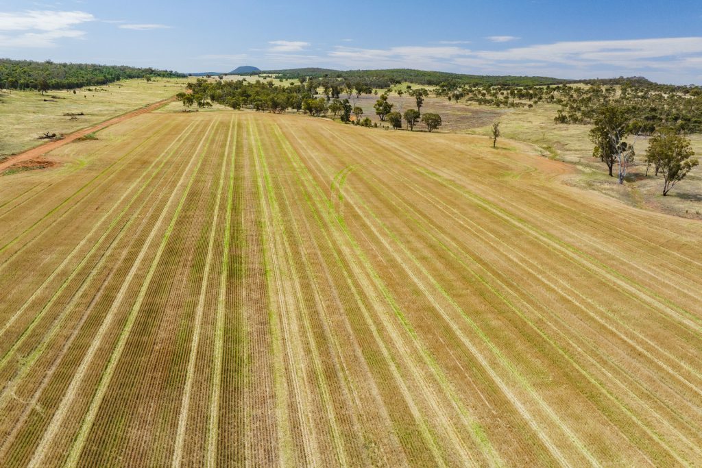 For Sale - 289 Kamarah Road - New Property in Narrandera - Real Estate by Craig Pellow