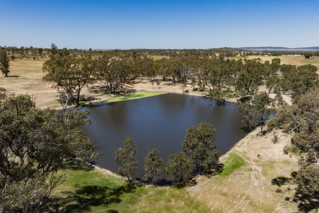 For Sale - 289 Kamarah Road - New Property in Narrandera - Real Estate by Craig Pellow