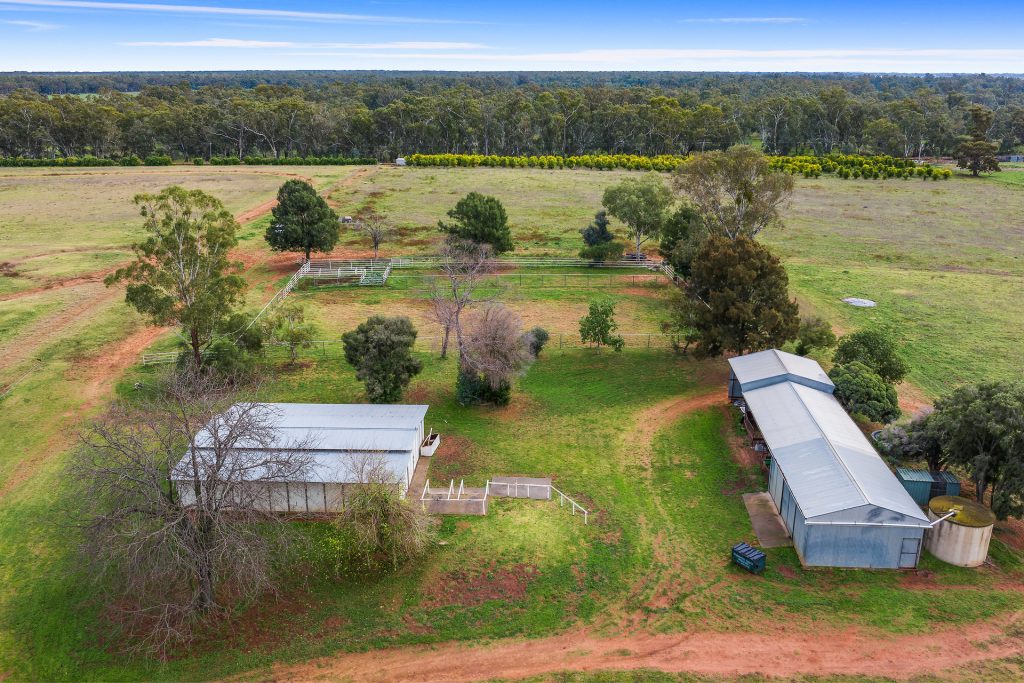 Sold - 180 Cudgel Road - New Property in Leeton - Real Estate by Leisa Williams