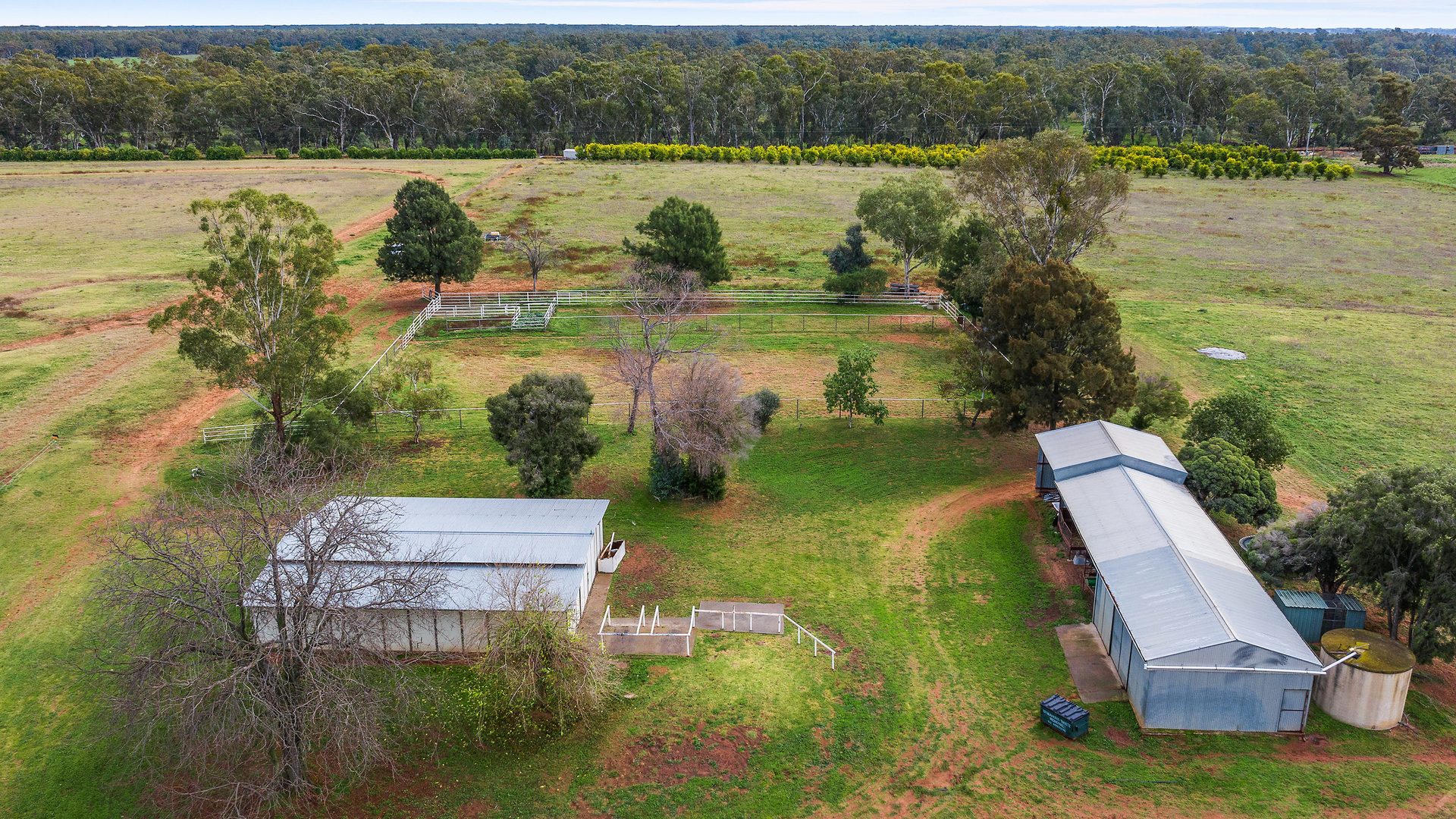 Sold - 180 Cudgel Road - New Property in Leeton - Real Estate by Leisa Williams