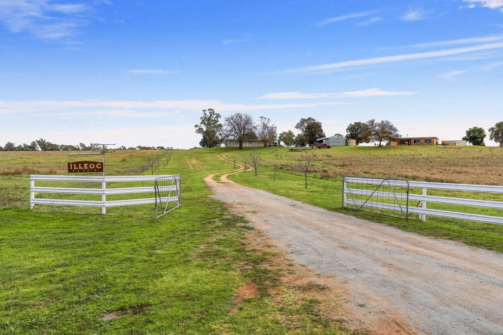 Sold - 180 Cudgel Road - New Property in Leeton - Real Estate by Leisa Williams