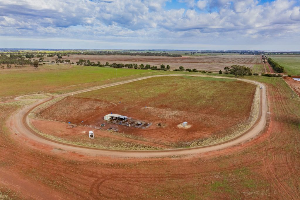 For Sale - 380 Brobenah Hall Road - New Property in Leeton - Real Estate by Jason Haines
