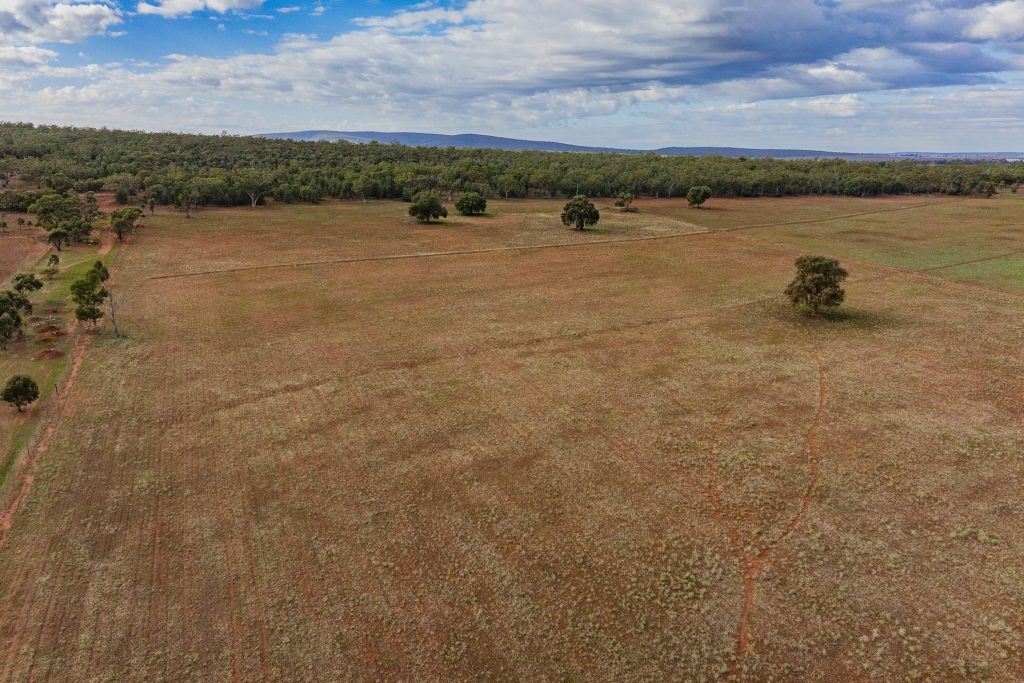 For Sale - 380 Brobenah Hall Road - New Property in Leeton - Real Estate by Jason Haines