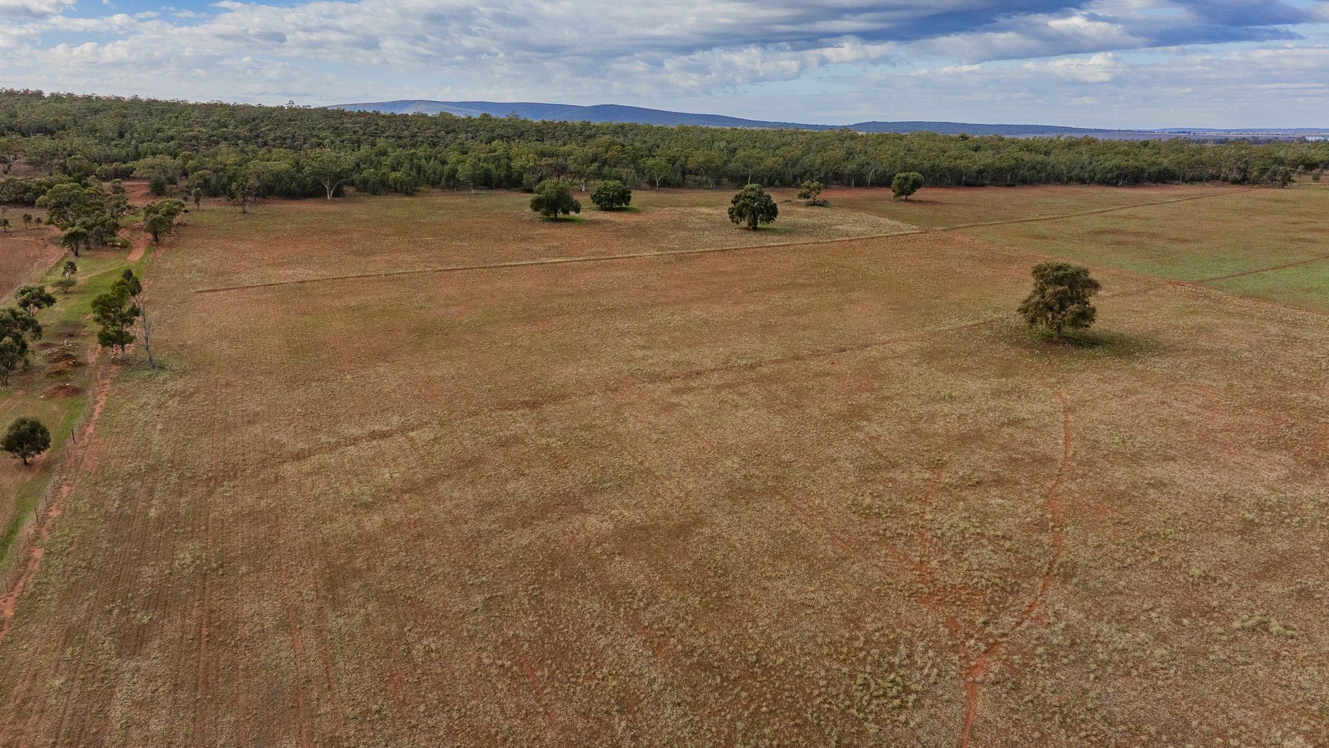 For Sale - 380 Brobenah Hall Road - New Property in Leeton - Real Estate by Jason Haines