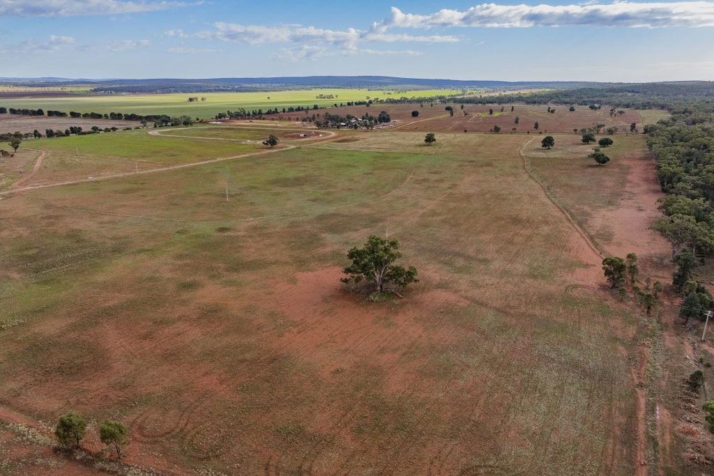 For Sale - 380 Brobenah Hall Road - New Property in Leeton - Real Estate by Jason Haines