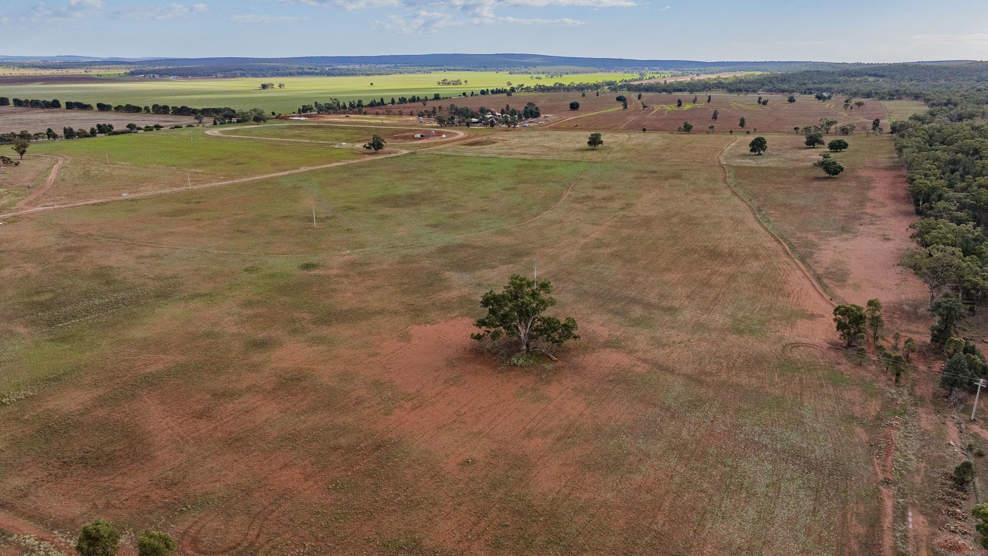 For Sale - 380 Brobenah Hall Road - New Property in Leeton - Real Estate by Jason Haines