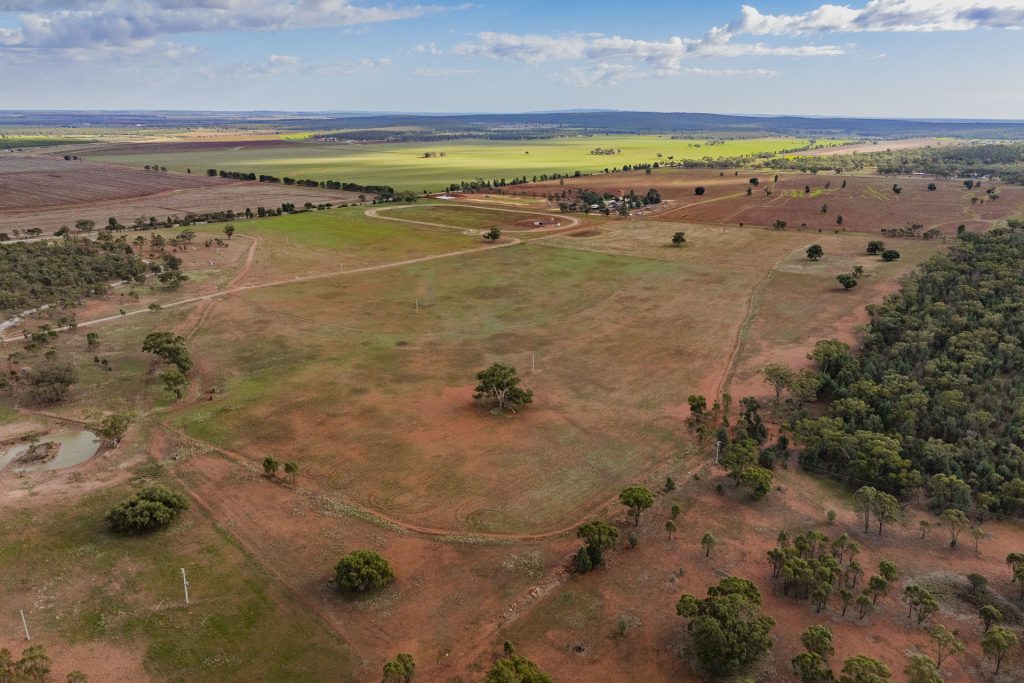 For Sale - 380 Brobenah Hall Road - New Property in Leeton - Real Estate by Jason Haines