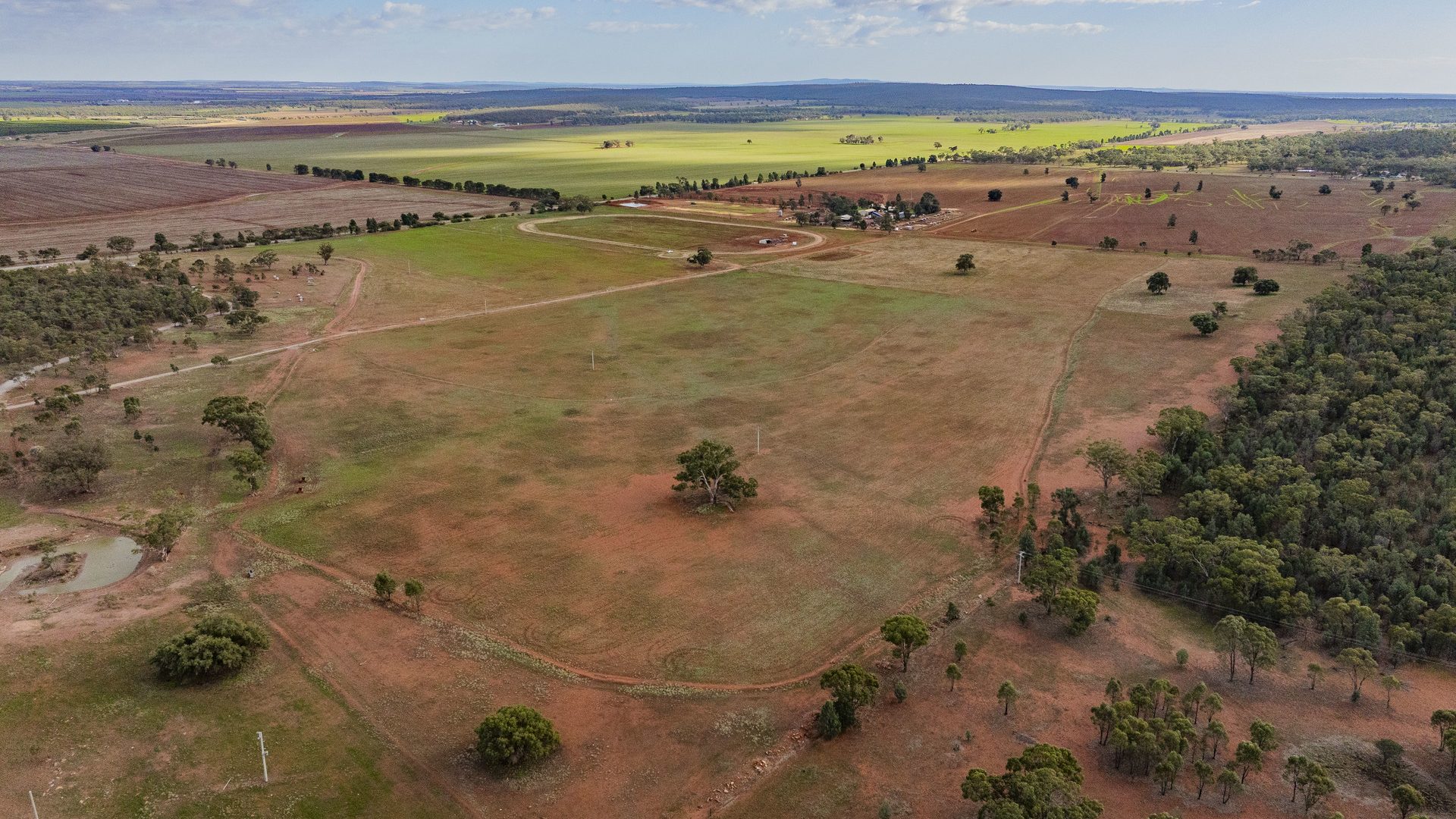 For Sale - 380 Brobenah Hall Road - New Property in Leeton - Real Estate by Jason Haines