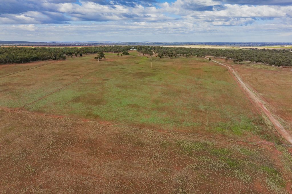 For Sale - 380 Brobenah Hall Road - New Property in Leeton - Real Estate by Jason Haines