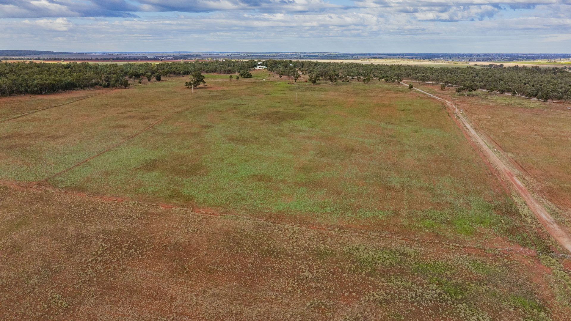 For Sale - 380 Brobenah Hall Road - New Property in Leeton - Real Estate by Jason Haines