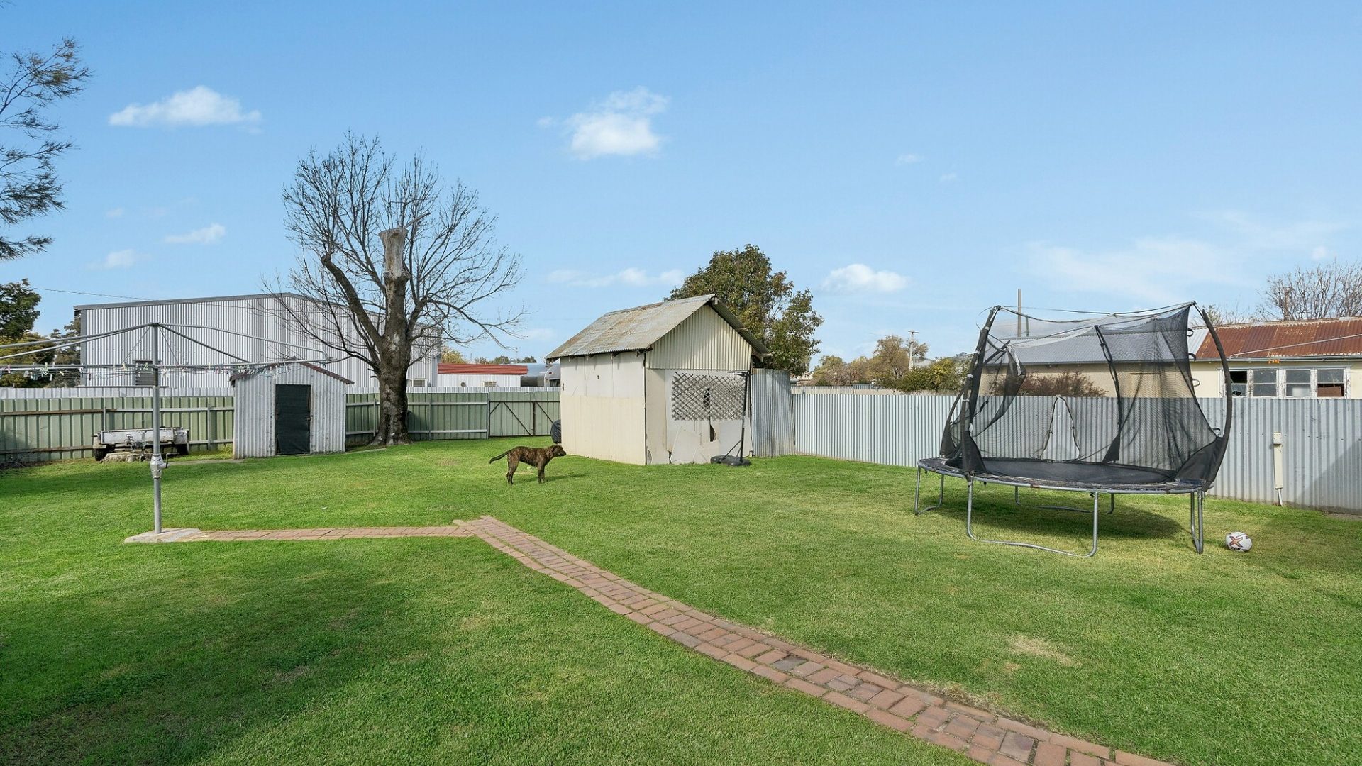 For Sale - 148 Sutton Street - New Property in Cootamundra - Real Estate by Lachlan Pellow