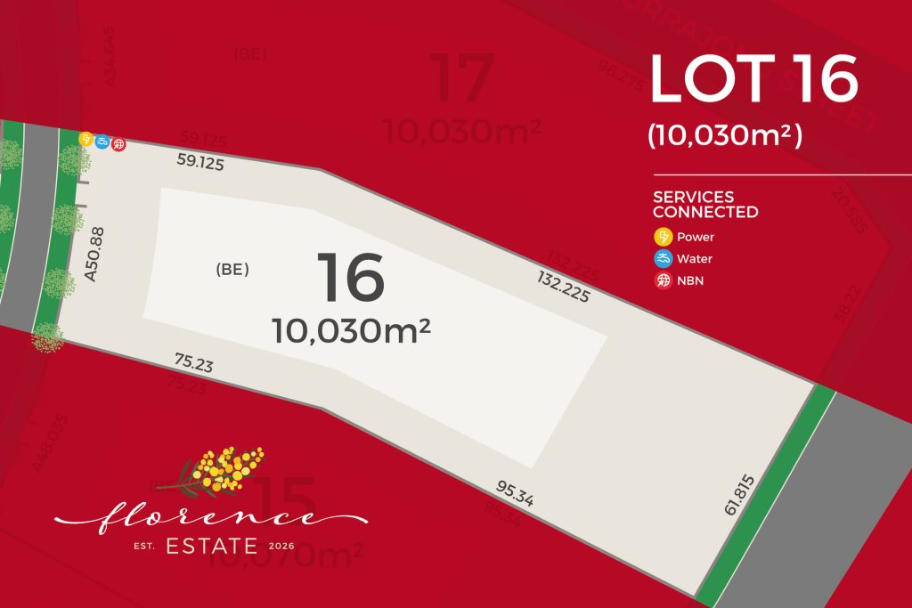 For Sale - 39 Kurrajong Street - New Property in Temora - Real Estate by Lachlan Pellow