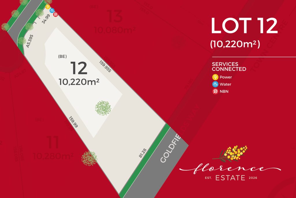 For Sale - 39 Kurrajong Street - New Property in Temora - Real Estate by Lachlan Pellow