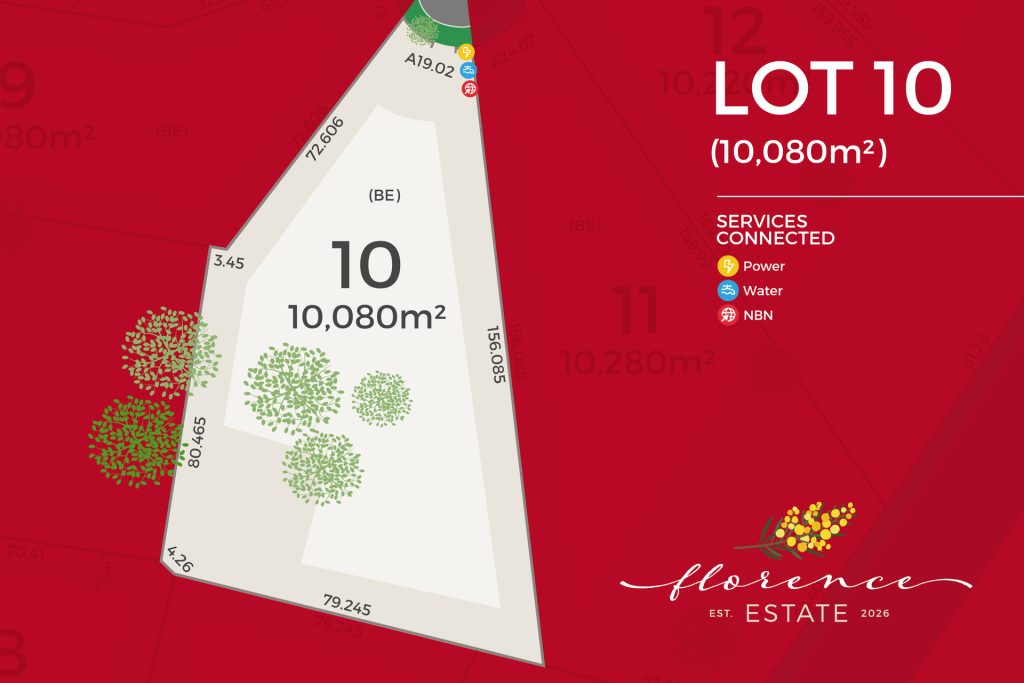For Sale - 39 Kurrajong Street - New Property in Temora - Real Estate by Lachlan Pellow