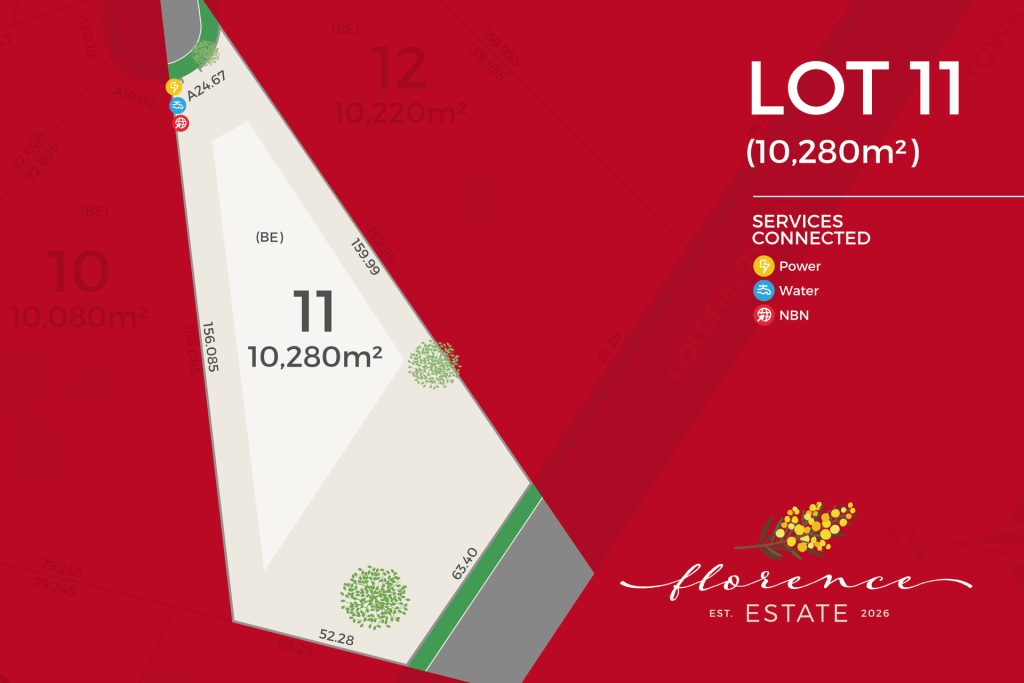 For Sale - 39 Kurrajong Street - New Property in Temora - Real Estate by Lachlan Pellow