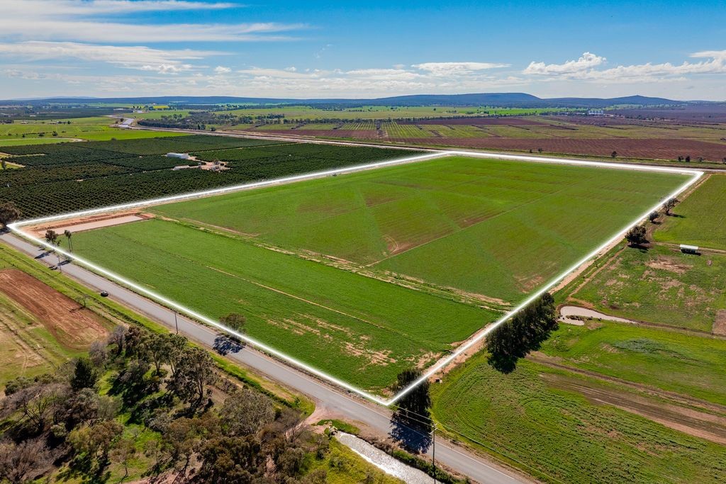 For Sale - 77 Fivebough Road - New Property in Leeton - Real Estate by Jason Haines