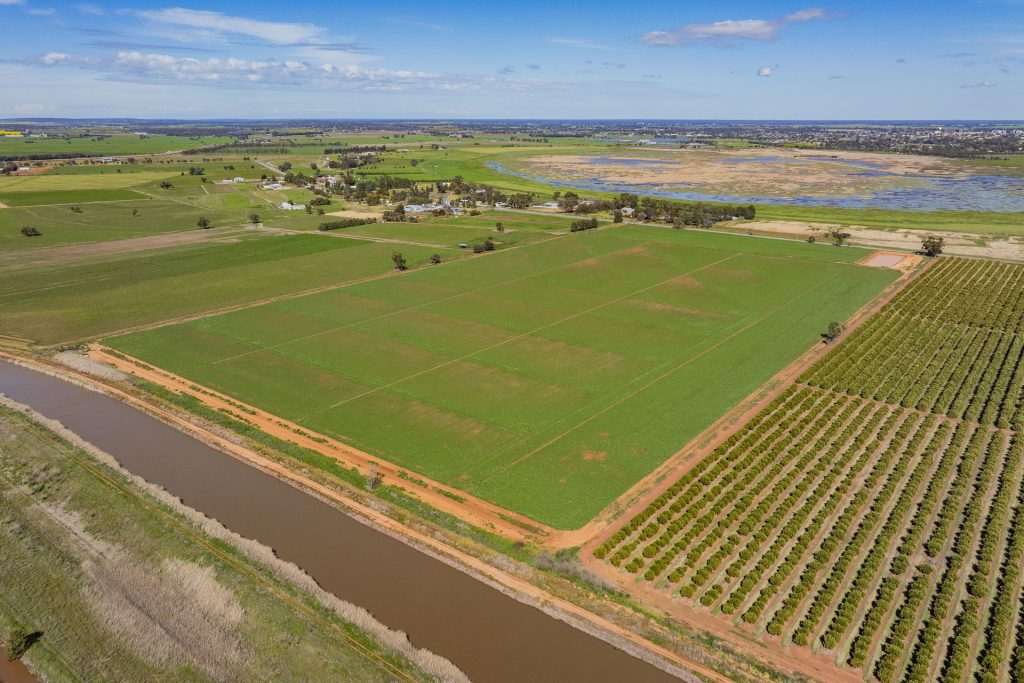 For Sale - 77 Fivebough Road - New Property in Leeton - Real Estate by Jason Haines