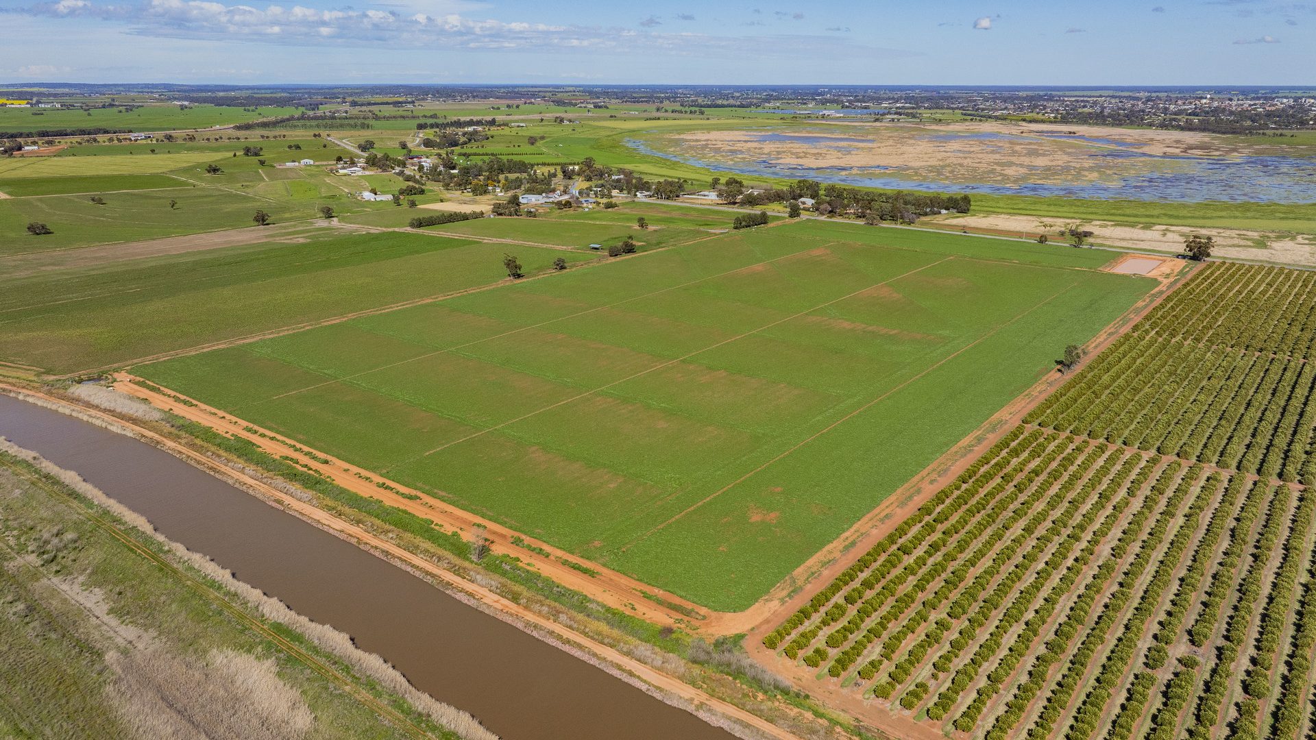 For Sale - 77 Fivebough Road - New Property in Leeton - Real Estate by Jason Haines