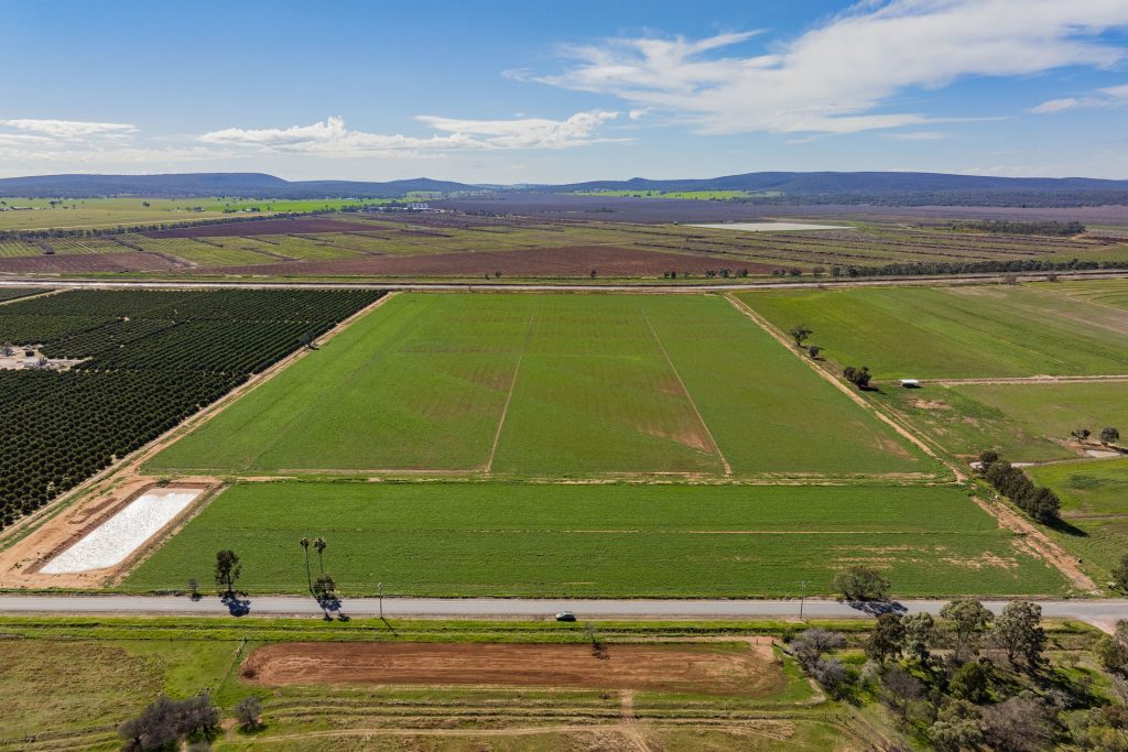 For Sale - 77 Fivebough Road - New Property in Leeton - Real Estate by Jason Haines