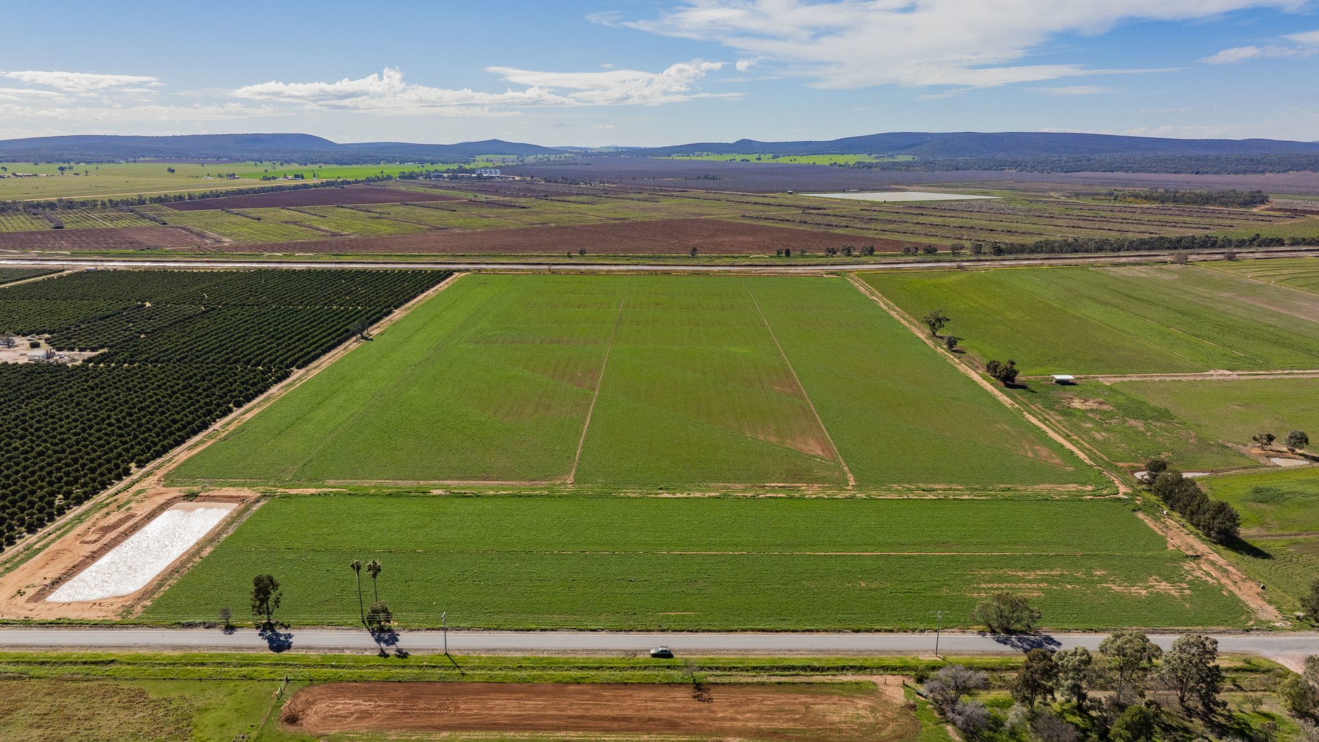 For Sale - 77 Fivebough Road - New Property in Leeton - Real Estate by Jason Haines