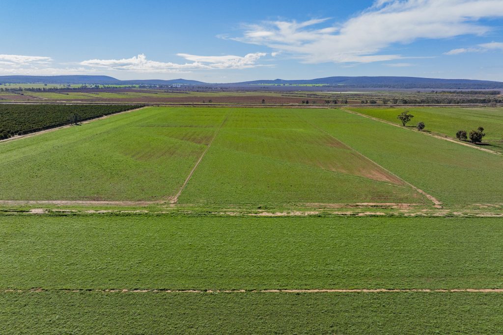 For Sale - 77 Fivebough Road - New Property in Leeton - Real Estate by Jason Haines