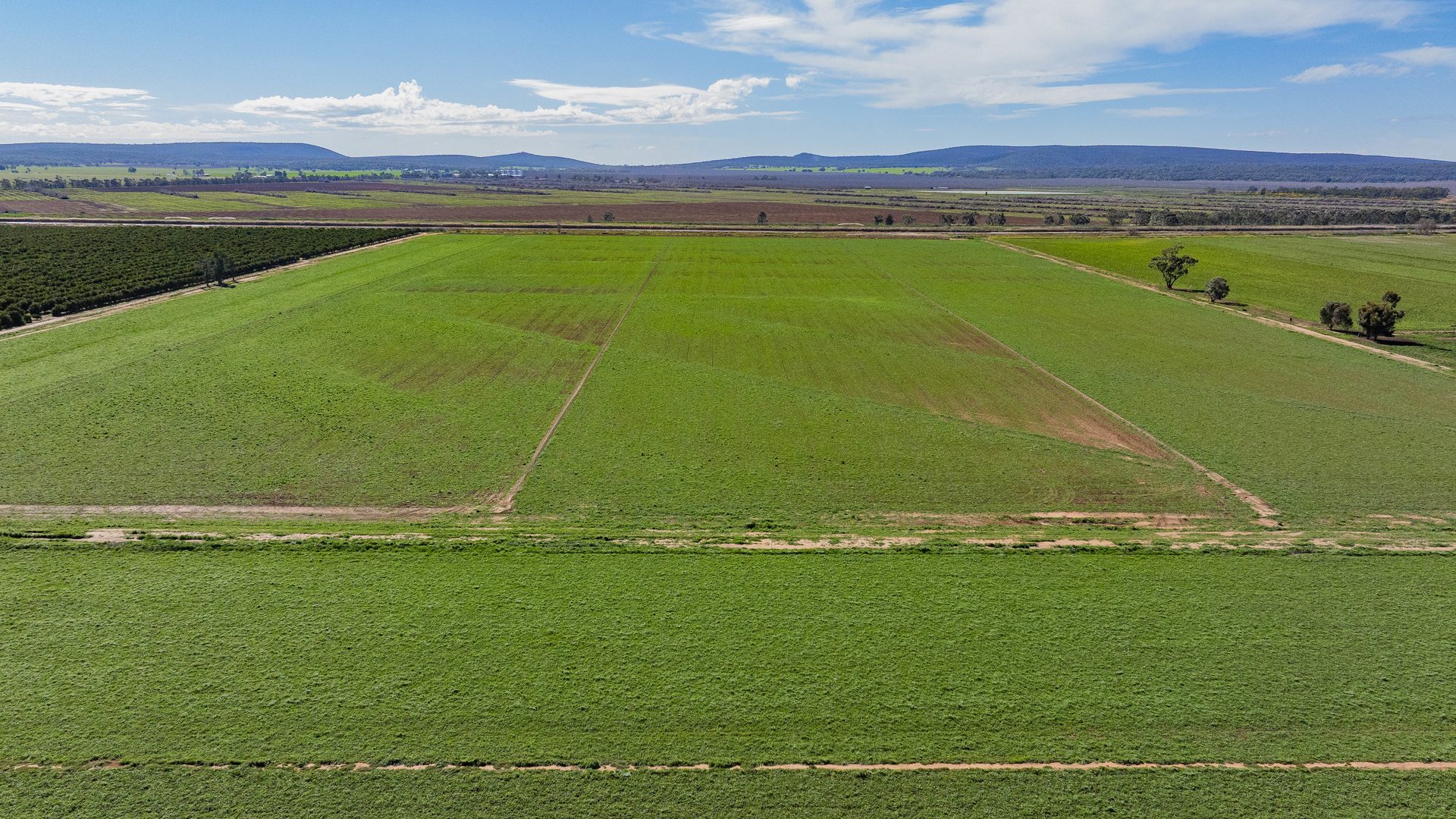 For Sale - 77 Fivebough Road - New Property in Leeton - Real Estate by Jason Haines