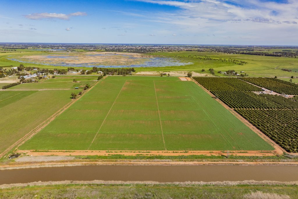 For Sale - 77 Fivebough Road - New Property in Leeton - Real Estate by Jason Haines