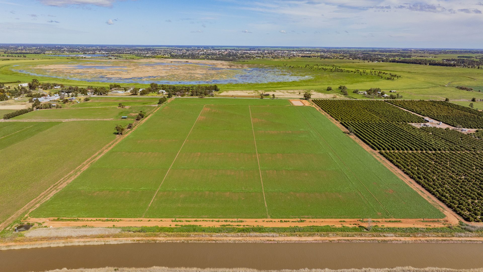 For Sale - 77 Fivebough Road - New Property in Leeton - Real Estate by Jason Haines