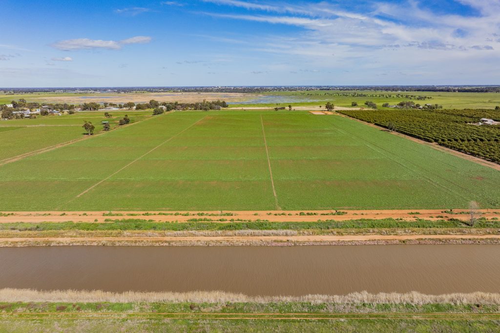 For Sale - 77 Fivebough Road - New Property in Leeton - Real Estate by Jason Haines