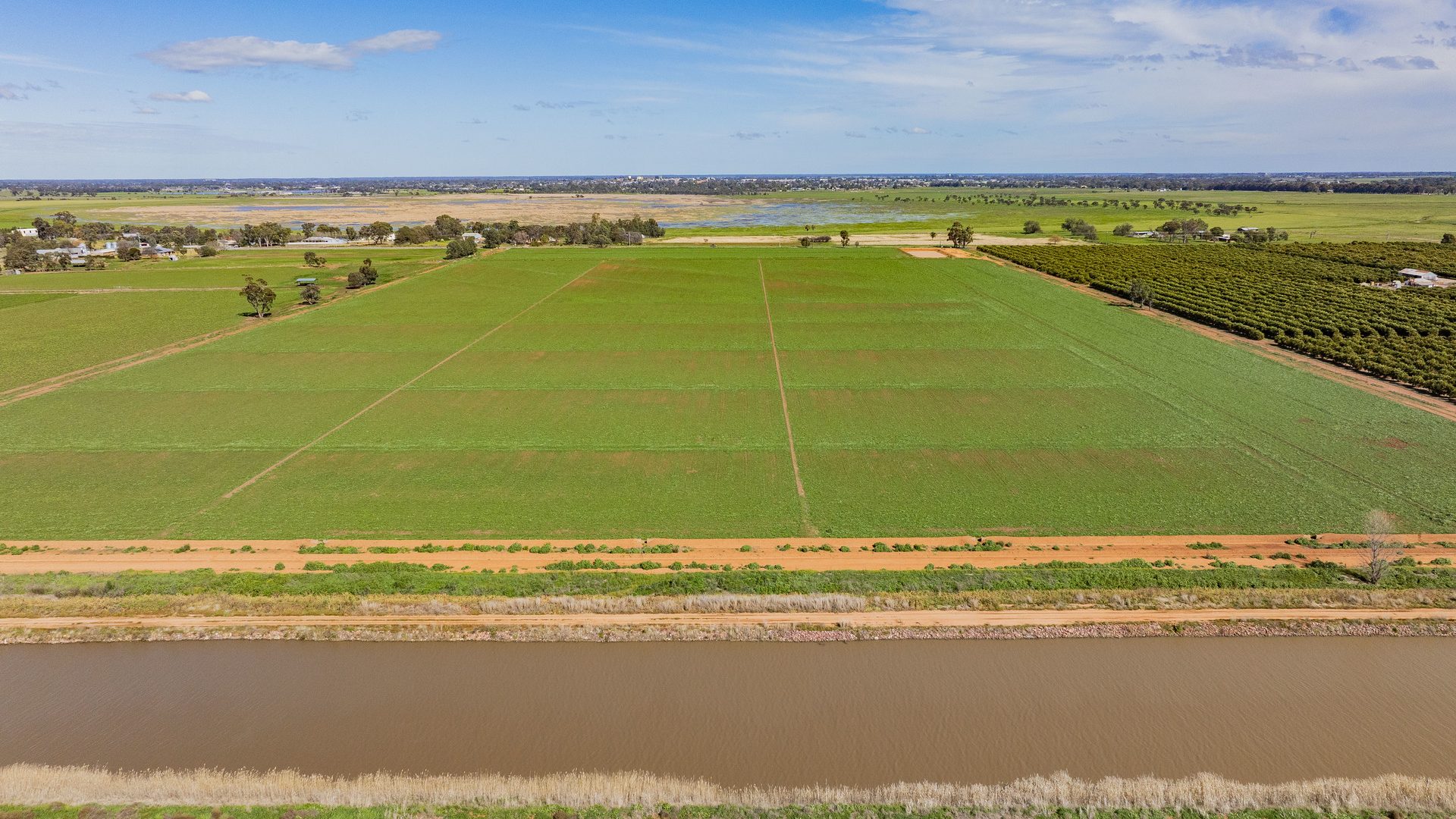 For Sale - 77 Fivebough Road - New Property in Leeton - Real Estate by Jason Haines