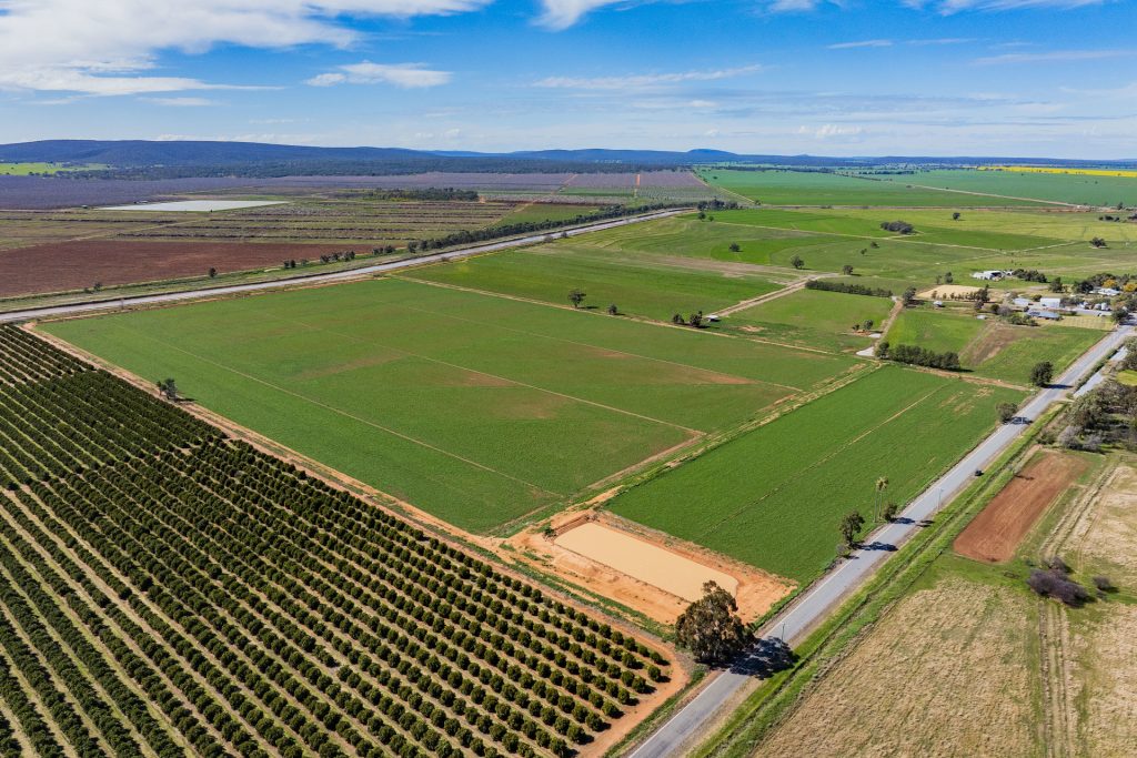 For Sale - 77 Fivebough Road - New Property in Leeton - Real Estate by Jason Haines